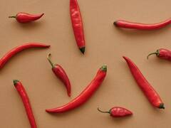 कम खर्च में पाना चाहते हैं तगड़ा मुनाफा तो आज ही शुरू करें लाल मिर्च की खेती