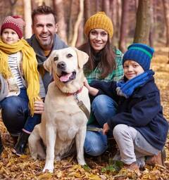 Brucellosis in Dogs: ਕੀ ਹੈ ਕੁੱਤਿਆਂ ਦੀ ਬਿਮਾਰੀ ਬਰੂਸੈਲਾ ਕੈਨਿਸ? ਹੁਣ ਮਨੁੱਖਾਂ ਵਿੱਚ ਵੀ ਪਾਈ ਜਾ ਰਹੀ...ਜਾਣੋ ਇਸ ਬਾਰੇ