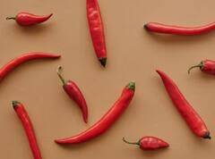 Red Chilli Farming: ਜੇਕਰ ਘੱਟ ਪੈਸੇ ਲਾ ਕੇ ਕਰਨਾ ਚਾਹੁੰਦੇ ਵੱਧ ਕਮਾਈ, ਤਾਂ ਇਦਾਂ ਕਰੋ ਲਾਲ ਮਿਰਚ ਦੀ ਖੇਤੀ, ਹੋਵੇਗਾ ਮੁਨਾਫਾ