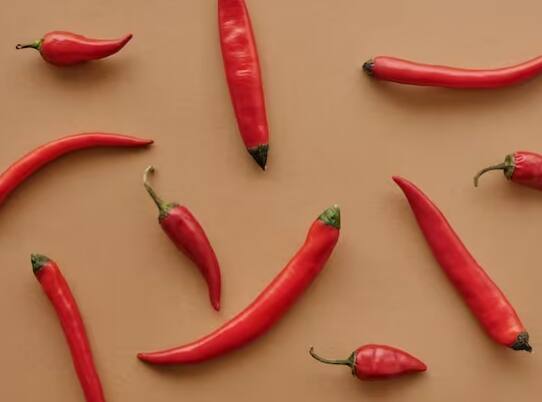 ਸਭ ਤੋਂ ਪਹਿਲਾਂ ਕਿਸਾਨ ਨੂੰ ਲਾਲ ਮਿਰਚ ਦਾ ਬੀਜ ਚੁਣਨਾ ਹੋਵੇਗਾ। ਇਸ ਦੇ ਲਈ ਬਾਜ਼ਾਰ ਵਿੱਚ ਉਪਲਬਧ ਵੱਖ-ਵੱਖ ਕਿਸਮਾਂ ਦੇ ਲਾਲ ਮਿਰਚਾਂ ਦੇ ਬੀਜਾਂ ਬਾਰੇ ਜਾਣਕਾਰੀ ਪ੍ਰਾਪਤ ਕਰੋ ਅਤੇ ਆਪਣੇ ਖੇਤਰ ਲਈ ਸਭ ਤੋਂ ਵਧੀਆ ਬੀਜ ਚੁਣੋ।