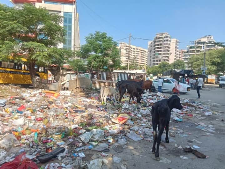 Haryana News heaps of garbage in many areas in Wazirabad Gurugram ann Haryana: गुरुग्राम के वजीराबाद में स्वच्छता के दावे हवा-हवाई, जगह-जगह लगे कूड़े के अंबार, अधिकारी दे रहे ये सफाई