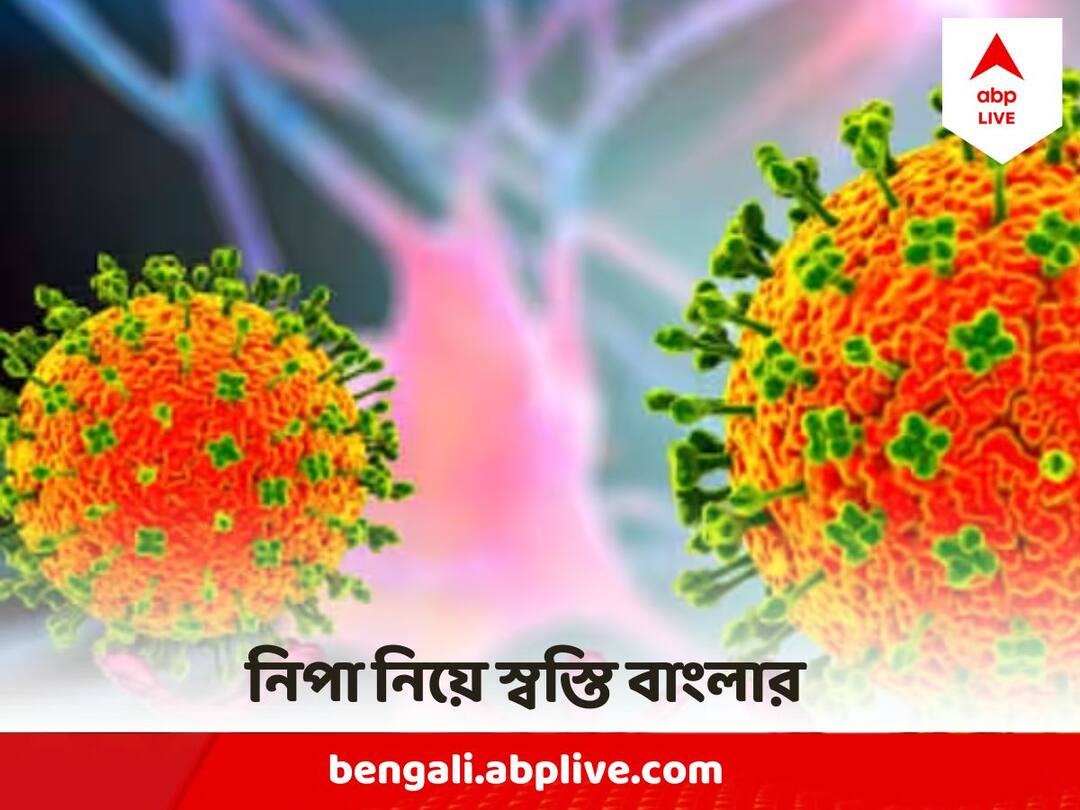 Nipah Virus : বিরাট স্বস্তির খবর, নিপা-আক্রান্ত নন কেরল ফেরত কলকাতার হাসপাতালে ভর্তি পরিযায়ী শ্রমিক West Bengal Nipa suspected Migrant Labor is not Nipah Affected Says Pune National Institute of Virology Report Nipah Virus : বিরাট স্বস্তির খবর, নিপা-আক্রান্ত নন কেরল ফেরত কলকাতার হাসপাতালে ভর্তি পরিযায়ী শ্রমিক