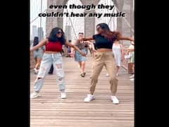 Fans Dance To Chaleya Song From Film Jawan On Broklyn Bridge, Shah Rukh Khan Reacts