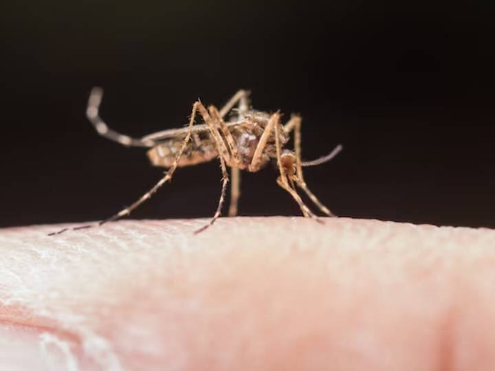 जिसे लेकर लोगों को जागरूक किया जा रहा है.  सबसे पहला कदम खुद को मच्छरों के काटने से बचाना है. क्योंकि डेंगू का वायरस मच्छर के जरिए ही फैलता है. आम लोगों को यह खास हिदायत दी गई है कि वह बाहर जाते समय अपने शरीर को कपड़ों से पूरी तरह से ढककर रखें. मच्छर भगाने वाली दवाओं का उपयोग करके और नियमित रूप से अपने घर के आसपास जमा पानी की सफाई और निकासी का खास प्रबंध करें.