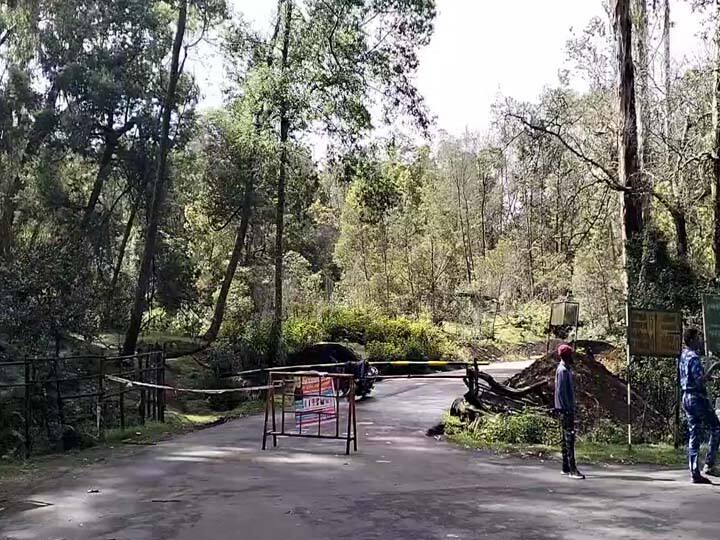 Kodaikanal elephants have migrated to Barijam area, tourist places are allowed to visit from today TNN கொடைக்கானலில் சுற்றுலா பயணிகளுக்கான தடை நீக்கம்; பார்வையிட இன்று முதல் அனுமதி