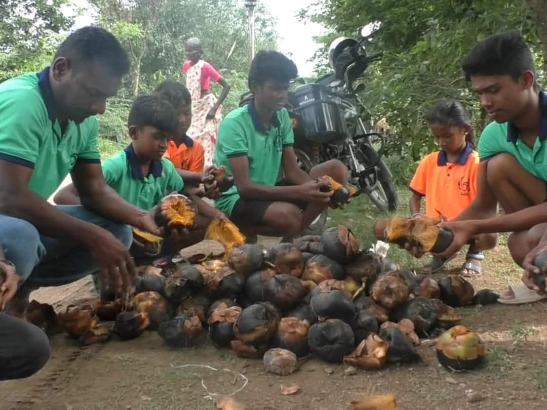 எதிர்கால தண்ணீர் தேவையை உணர்ந்து 2000 பனை விதைகளை ஏரியில் நடவு செய்யும் பீனிக்ஸ் அமைப்பினர் Dharmapuri news Phoenix volunteer organization from Dharmapuri planting 2000 palm seeds in the lake TNN எதிர்கால தண்ணீர் தேவையை உணர்ந்து 2000 பனை விதைகளை ஏரியில் நடவு செய்யும் பீனிக்ஸ் அமைப்பினர்