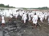 Pandharpur News : उजनीचे पाणी पोहचण्यापूर्वी बाल वारकऱ्यांनी केली चंद्रभागेची स्वच्छता, नदी अस्वच्छ करणाऱ्यांवर दंडात्मक कारवाई करण्याची मागणी