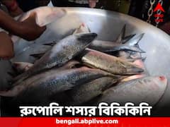 Howrah Market: নিলামে উঠল রুপোলি শস্য, হাওড়ার বাজারে শুরু পদ্মার ইলিশ বিক্রি