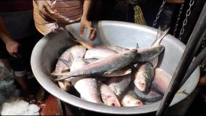 হাওড়ার পাইকারি বাজারে শুরু হল পদ্মার ইলিশ বিক্রি। আজ সকালে নিলামে ওঠে পদ্মার ইলিশ।