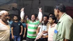 Howrah Market: নিলামে উঠল রুপোলি শস্য, হাওড়ার বাজারে শুরু পদ্মার ইলিশ বিক্রি