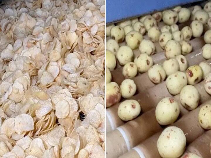 Video Of Potato Chips Being Made In A Factory Goes Viral, WATCH  Video Of Potato Chips Being Made In A Factory Goes Viral. WATCH 