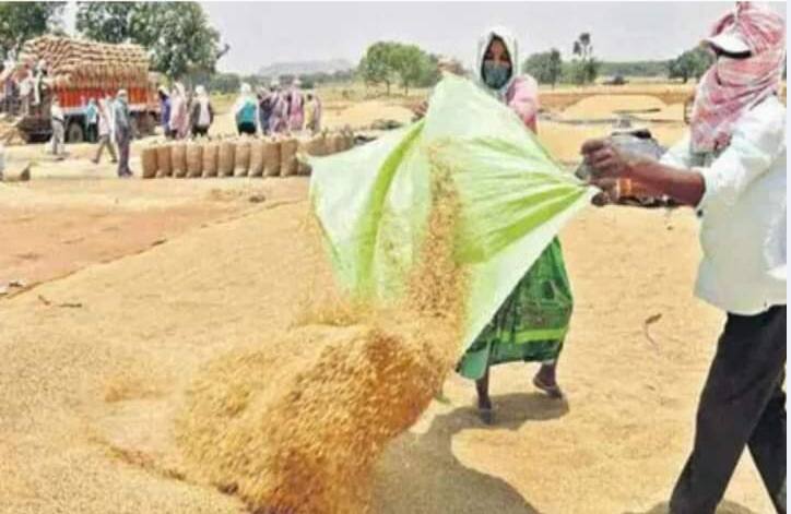 Tamil Nadu government has written to Telangana to supply 7 lakh tonnes of boiled rice Telangana Rice: తెలంగాణ బియ్యానికి ఫుల్‌ డిమాండ్‌- 7లక్షల టన్నులు కోరిన తమిళనాడు