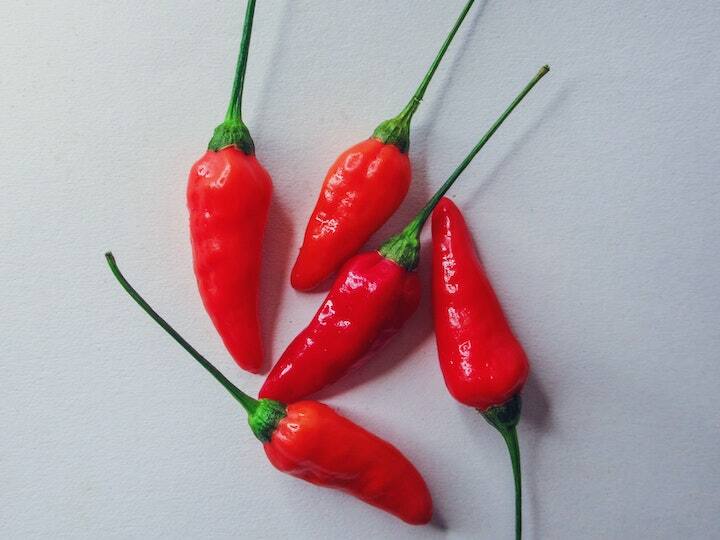 भारत में खाने के साथ मिर्च को बेहद पसंद किया जाता है. कई सब्जियों में हरी के अलावा लाल मिर्च भी डाली जाती है. जो खाने का स्वाद बढ़ा देती है. साथ ही किसानों को भी बाजार में इसकी अच्छी कीमत मिल जाती है. किसान भाई लाल मिर्च की खेती कर तगड़ा मुनाफा प्राप्त कर सकते हैं. इसकी शुरुआत कम खर्चे में हो जाती है. आइए जानते हैं लाल मिर्च की खेती के दौरान ध्यान रखने वाली जरूरी बातें.