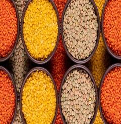 Benefits Of Pulses: સ્વાસ્થ્ય જ નહિ સૌદર્યનો પણ ખજાનો છે મસૂરની દાળ, સેવનથી થશે આ અદભૂત ફાયદા