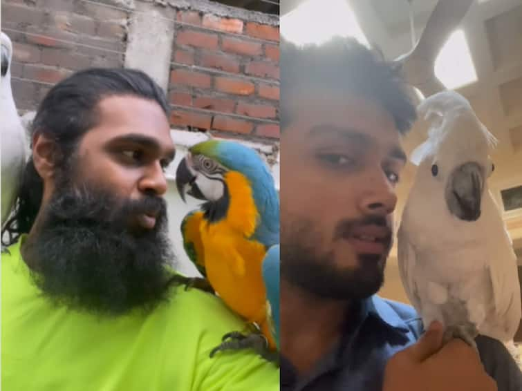 Vijayakanth younger son Shanmuga Pandian shares his pet animal video ரூ.35,000 முதல் ரூ.2.50 லட்சம் வரை... பறவைகளை வளர்க்கும் நடிகர்கள் - க்யூட் வீடியோக்கள்