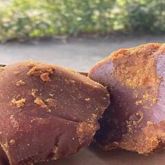 Benefits Warm Jaggery Water: ਖਾਲੀ ਪੇਟ ਕਰੋ ਗੁੜ ਦੇ ਕੋਸੇ ਪਾਣੀ ਦੀ ਵਰਤੋਂ, ਦੂਰ ਹੋਣਗੀਆਂ ਕਈ ਪਰੇਸ਼ਾਨੀਆਂ