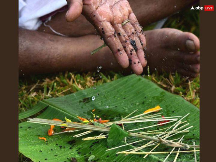 कुश - कुश की उत्पत्ति श्रीहरि विष्णु के रोम (बाल) से हुई है. श्राद्ध में कुशा बहुत महत्वपूर्ण सामग्री होती है. कुशा की अंगूठी पहनकर ही पूर्वजों का तर्पण करते हैं. इसके बिना वह जल स्वीकार नहीं करते. ऐसे में पितृ पक्ष में कुश घर लाने से परिवार में खुशहाली आते हैं. इसके प्रभाव से माहौल सकतारात्मक रहता है. बिगड़े काम बन जाते हैं.