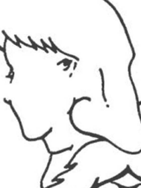 इस तस्वीर में छिपे हैं दो चेहरे, आपने पहले क्या देखा?