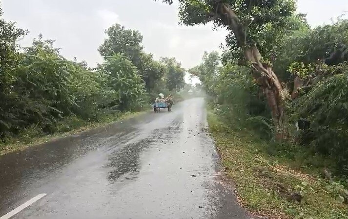 Amreli Rain: અમરેલી જિલ્લામાં વરસાદી માહોલ, રાજુલા-જાફરાબાદમાં ધોધમાર વરસાદ 