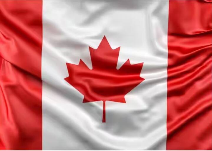 Canada Flag leaf: ਇਸ ਸਮੇਂ ਭਾਰਤ ਅਤੇ ਕੈਨੇਡਾ ਦੇ ਸਬੰਧਾਂ ਦੀ ਕਾਫੀ ਚਰਚਾ ਹੈ। ਭਾਰਤ 'ਚ ਵੀ ਕੈਨੇਡਾ ਦੀ ਗੱਲ ਕੀਤੀ ਜਾ ਰਹੀ ਹੈ ਅਤੇ ਇੰਟਰਨੈੱਟ 'ਤੇ ਅਤੇ ਮੀਡੀਆ ਰਿਪੋਰਟਾਂ 'ਚ ਕਈ ਥਾਵਾਂ 'ਤੇ ਕੈਨੇਡਾ ਦਾ ਝੰਡਾ ਦੇਖਿਆ ਜਾ ਰਿਹਾ ਹੈ।