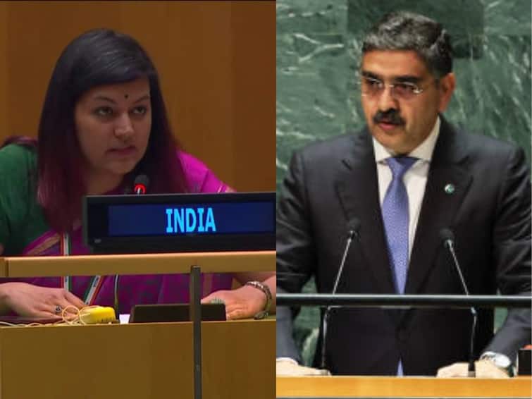'Put Your Own House In Order': India Hits Back As Pak Rakes Up J&K Issue At UNGA