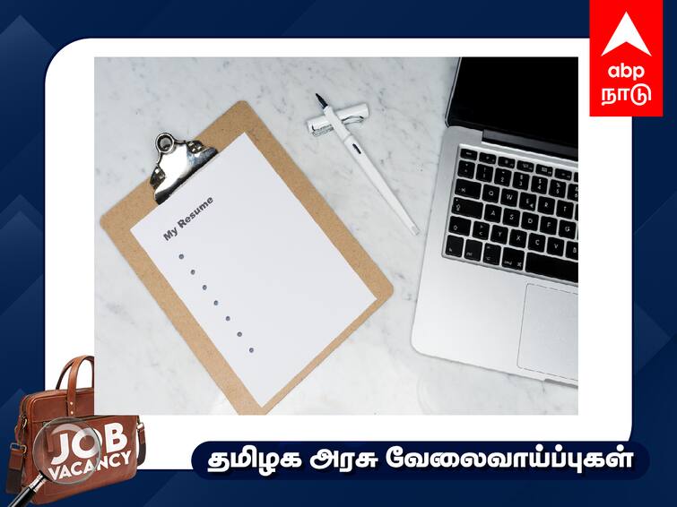 Nagapattinam District Programme Cum Administrative Assitant Job Know the Details Job Alert: டிகிரி முடித்தவரா? தகுதித் தேர்வுகள் இல்லை - வேலைவாய்ப்பு பற்றிய கூடுதல் விவரம் இதோ!