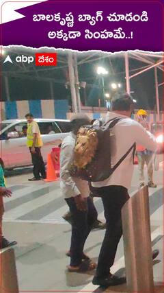 బాలకృష్ణ బ్యాగ్ పై కూడా సింహమే..!