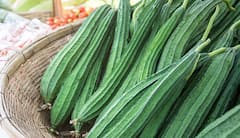 Ridge Gourd Benefits: दोडका खाण्याचे आश्चर्यकारक फायदे, रोग प्रतिकारशक्ती वाढण्यास ठरतो उपयुक्त