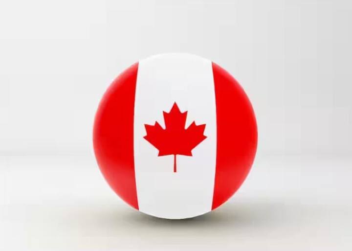 ਕੈਨੇਡਾ ਦਾ ਨਾਂ ਸੁਣਦੇ ਹੀ ਇੱਕ ਝੰਡਾ ਦਿਮਾਗ ਵਿੱਚ ਆਉਂਦਾ ਹੈ, ਜਿਸ ਵਿਚ ਇਕ ਰੁੱਖ ਦਾ ਪੱਤਾ ਲਾਲ ਰੰਗ ਦਾ ਬਣਿਆ ਹੁੰਦਾ ਹੈ। ਕੀ ਤੁਸੀਂ ਕਦੇ ਸੋਚਿਆ ਹੈ ਕਿ ਇਹ ਪੱਤਾ ਕਿਸ ਦਰੱਖਤ ਦਾ ਹੈ ਅਤੇ ਇਸ ਪੱਤੇ ਨੂੰ ਝੰਡੇ 'ਤੇ ਛਾਪਣ ਪਿੱਛੇ ਕੀ ਕਹਾਣੀ ਹੈ, ਤਾਂ ਆਓ ਜਾਣਦੇ ਹਾਂ।