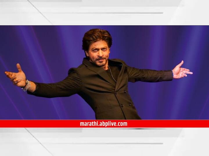 Shah Rukh Khan Ask Srk Tweet Jawan Dunki Movie Bollywood Entertainment SRK reveals what abram khan watching film SRK replied to fans when asked lizards in mannat Shah Rukh Khan : 'मन्नत'मध्ये पाल फिरते का? चाहत्याच्या प्रश्नाचं उत्तर देत किंग खान म्हणाला....