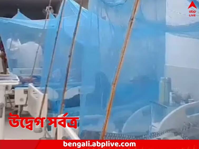 Amid increasing in cases Experts say Dengue has has mutation Dengue Situation: চরিত্র বদলেই আরও ভয়ঙ্কর ডেঙ্গি, রোগ নির্ণয় থেকে চিকিৎসা, চ্যালেঞ্জ সবেতেই