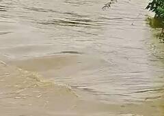 Latur News : लातूरमधील कासार शिरसी परिसरात ढगफुटी सदृश्य पाऊस, पाहा फोटो