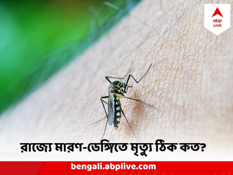 Dengue Death Number Controversy, Multiple Death Of Dengue Patients in West Bengal but Govt Data Still shows 3 Dengue Death :  পরপর ডেঙ্গি আক্রান্তের মৃত্যু, অথচ রাজ্যে সরকারি মতে ডেঙ্গি আক্রান্তের মৃত্যু ৩ পেরোচ্ছে না !