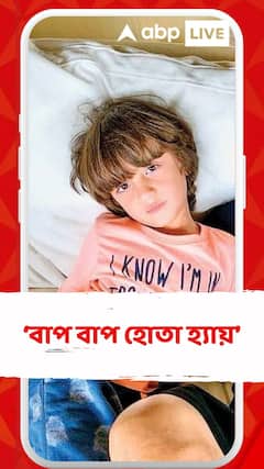 ‘বাপ বাপ হোতা হ্যায়’, ‘জওয়ানে’র সংলাপ নয়, ছবি দেখে নাকি এমনই বলছে ছেলে অ্যাব্রাম!