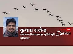 Opinion: पक्षियों की उड़ान में बढ़ता मानवीय दख़ल