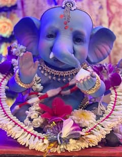 Ganesh Chaturthi 2023: टीवी की 'अनुपमा' ने भी अपने घर क्यूट गणपति का किया स्वागत, Rupali Ganguly ने तस्वीरें शेयर कर दिखाई झलक