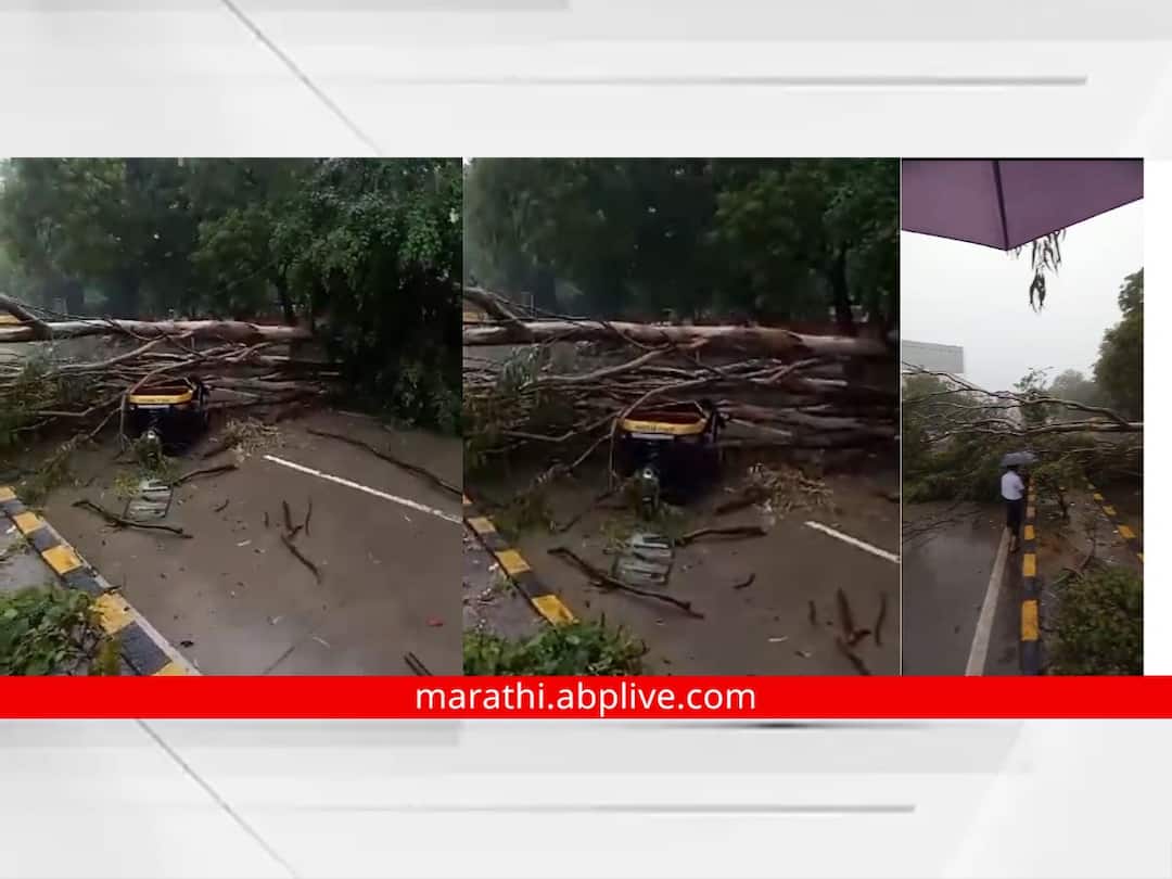 Chhatrapati Sambhajinagar Rain Update : तासाभरात मुसळधार पावसाने छत्रपती संभाजीनगरला झोडपून काढलं, रिक्षावर झाड कोसळलं Chhatrapati Sambhajinagar Rain Update Heavy rain within an hour tree fell on rickshaw Chhatrapati Sambhajinagar Rain Update : तासाभरात मुसळधार पावसाने छत्रपती संभाजीनगरला झोडपून काढलं, रिक्षावर झाड कोसळलं
