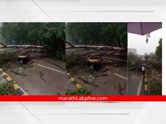 Chhatrapati Sambhajinagar Rain Update : तासाभरात मुसळधार पावसाने छत्रपती संभाजीनगरला झोडपून काढलं, रिक्षावर झाड कोसळलं