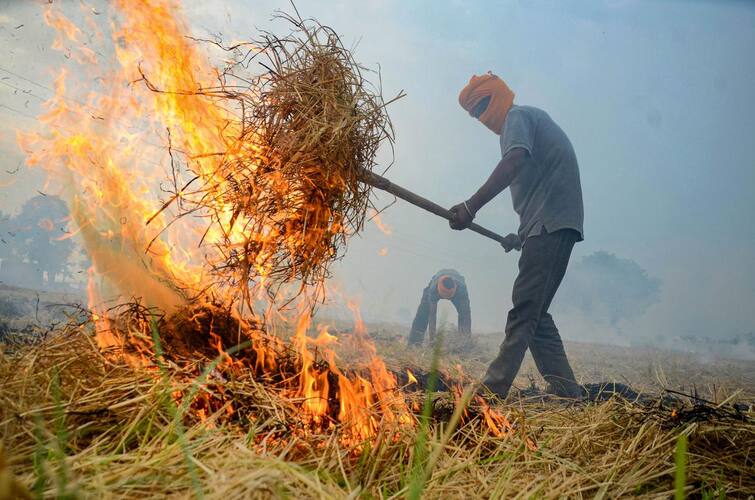 Punjab Stubble Burning Cases Amritsar district is at the forefront Stubble Burning: ਪੰਜਾਬ 'ਚ ਪਰਾਲੀ ਸਾੜਨ ਦੇ ਮਾਮਲਿਆਂ ਨੇ ਫੜ ਰਫ਼ਤਾਰ, ਅੰਮ੍ਰਿਤਸਰ ਜਿਲ੍ਹਾ ਸਭ ਤੋਂ ਅੱਗੇ, ਦਿੱਲੀ ਦਾ ਹੋਇਆ ਬੁਰਾ ਹਾਲ 