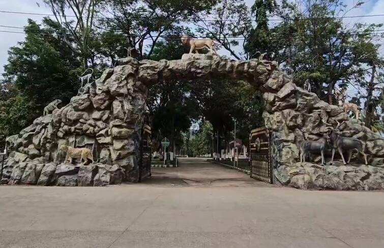 Hotel association demanded to build statue of lion in Sasan Gir Sasan Gir: સ્ટેચ્યુ ઓફ યૂનિટી બાદ ગુજરાતના આ સ્થળે સ્ટેચ્યુ ઓફ લાયન બનાવવા ઉઠી માગ,જાણો હોટેલ સંચાલકોએ શું કહ્યું