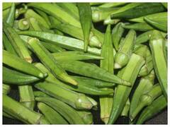 भिंडी खाने के पांच जबरदस्त फायदे यहां देखें, बच्चों की डाइट में करें इसे शामिल