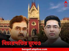 গোবলয় থেকে আমদানি বাংলায়, রাজনীতি থেকে এবার আদালতেও, বিচারপতির মুখেও ‘ভাইপো’র উল্লেখ