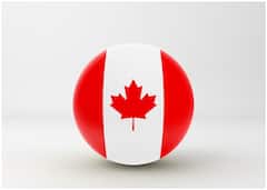 कनाडा के झंडे में जो ये लाल रंग का पत्ता दिखता है, वो किस पेड़ का है?