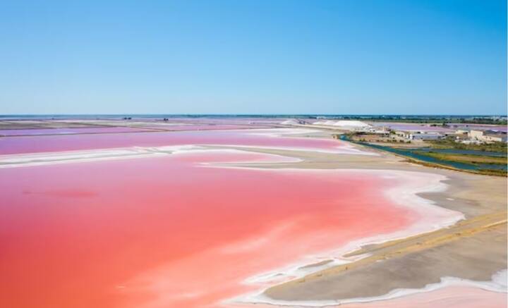 লেক হিলিয়ার, অস্ট্রেলিয়া- অস্ট্রেলিয়ার লেক হিলিয়ার জলের রং হাওয়াই-মিঠাইয়ের মতো গোলাপি। হেলোব্যাকটিরিয়া, শ্যাওলা এবং জীবাণুর জন্যই এমন রং। ডেড সি-র মতোই লবণাক্ত লেক হিলিয়ারের জল।