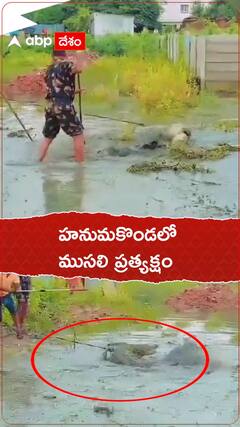 హనుమకొండలో ముసలి ప్రత్యక్షం..!