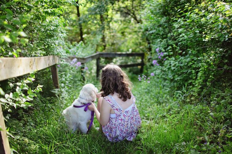 2 Year Old Girl Went Missing In Michigan Found Later Sleeping In Remote Area Using Family Dog As A Pillow World News:বাড়ি থেকে 'পালিয়ে'...জঙ্গলের ভিতর পোষ্য সারমেয়কে বালিশ করে ঘুমিয়ে কাদা ২ বছরের খুদে
