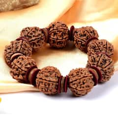 Rudraksh: ગર્ભવતી સ્ત્રીઓએ ભૂલેચૂકે પણ ન ધારણ કરવો જોઇએ રૂદ્રાક્ષ, ધારણ કરવાના નિયમ જાણવા જરૂરી