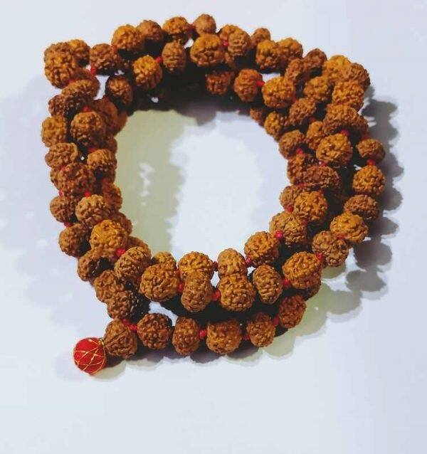 હિંદુ પુરાણોમાં ઉલ્લેખ છે કે, સૂતી વખતે રુદ્રાક્ષ ક્યારેય ન પહેરવો જોઈએ. રાત્રે સૂતા પહેલા રુદ્રાક્ષ અવશ્ય ઉતારવો. રુદ્રાક્ષ ઉતારો અને તેને તમારા ઓશિકા નીચે રાખો. કહેવાય છે કે આ ઉપાયો કરવાથી ખરાબ સપના બંધ થાય છે. તે જાણીતું છે કે આ ખરાબ સપના અથવા ઊંઘની સમસ્યાને સમાપ્ત કરે છે.