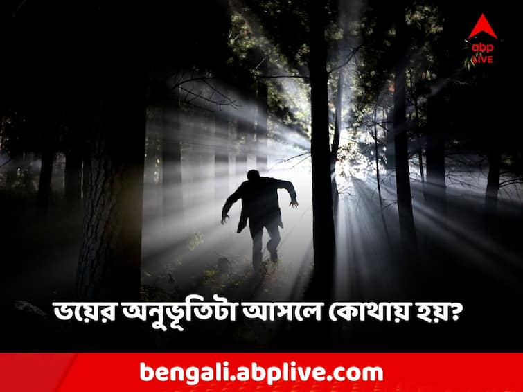 What exactly happens to the body if you are afraid? Why is it important to deal with Science: ভয় পেলে শরীরে ঠিক কী কী ঘটে? কেন মোকাবিলা করা জরুরি?