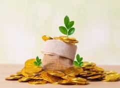 RD Interest Rates: રિકરિંગ ડિપોઝિટ પર જબરદસ્ત વ્યાજ આપે છે આ ટોપ બેંક, જુઓ સંપૂર્ણ લિસ્ટ